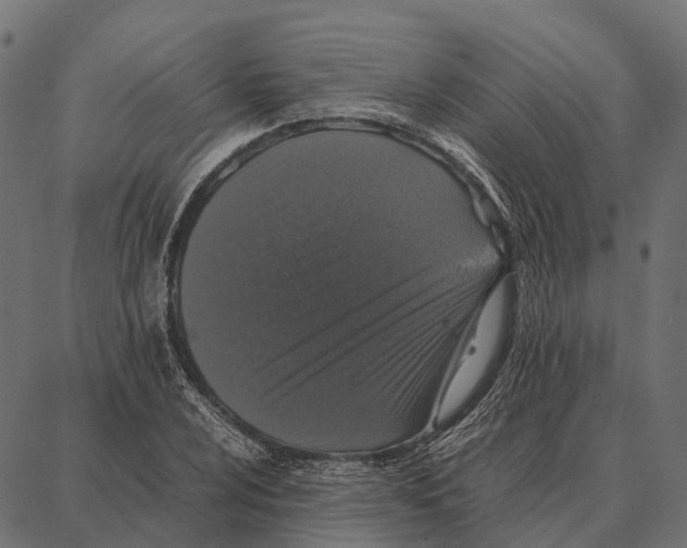 X0000087321024200705181006