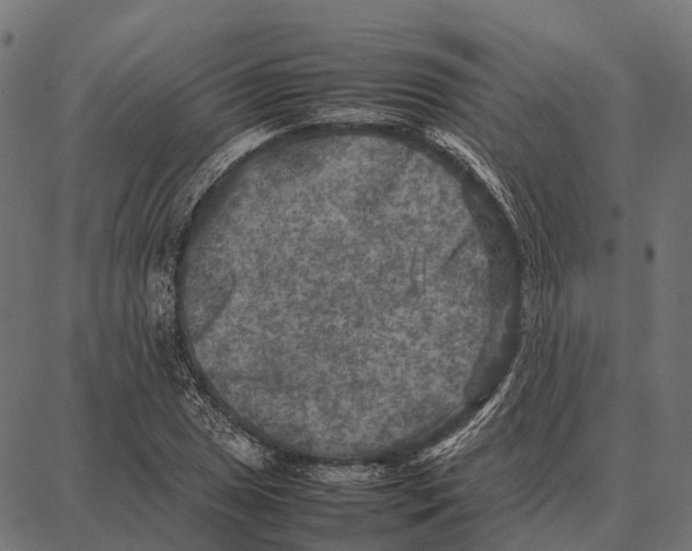 X0000087321025200705181006