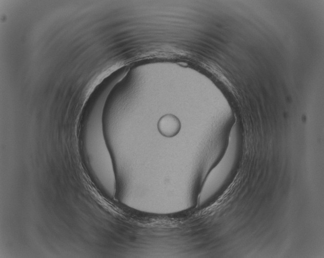 X0000087321026200705181006