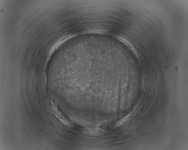 X0000087321027200705181006