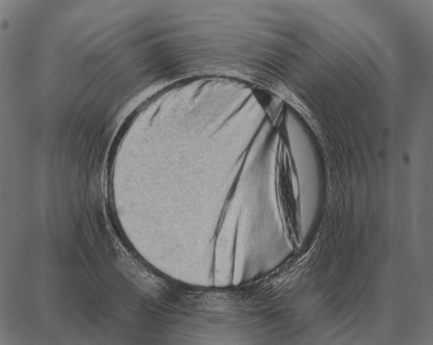 X0000087321028200705181006