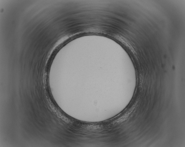 X0000087321029200705181006