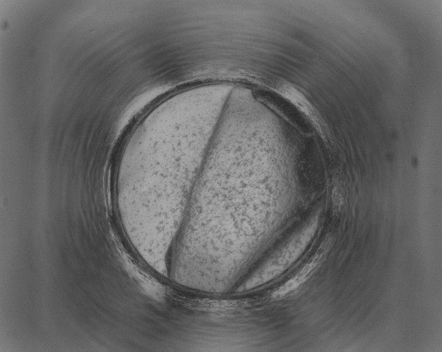 X0000087321030200705181006