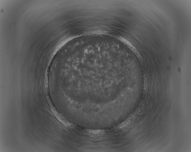 X0000087321031200705181006