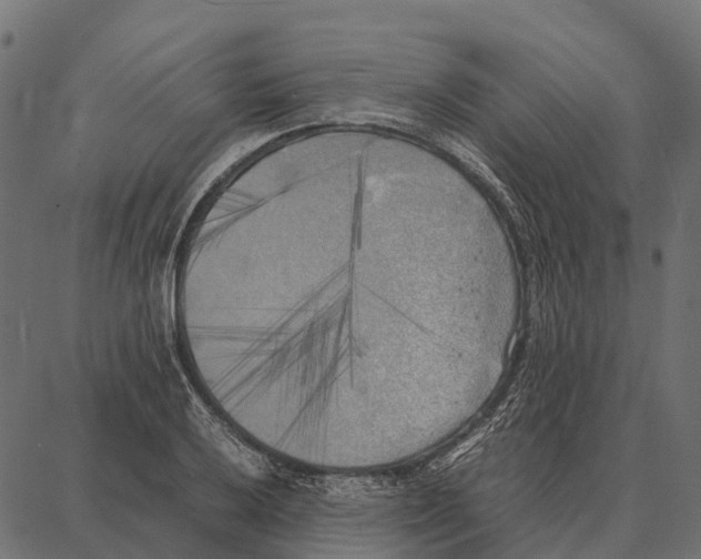 X0000087321032200705181006