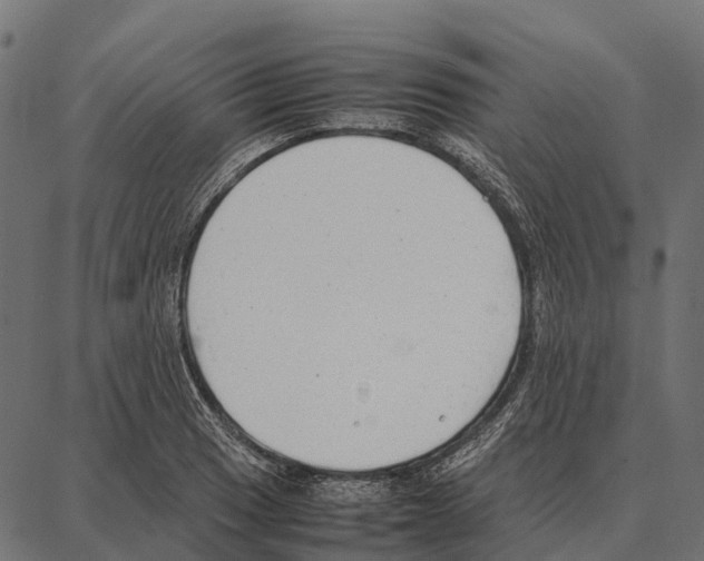 X0000087321033200705181006