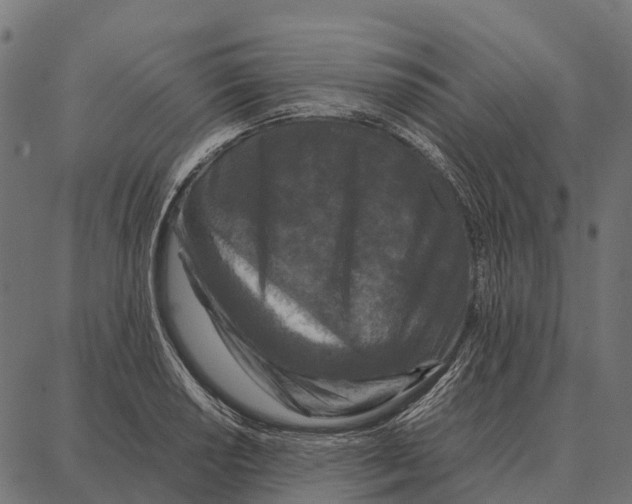 X0000087321034200705181006