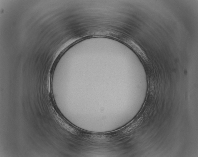 X0000087321036200705181006