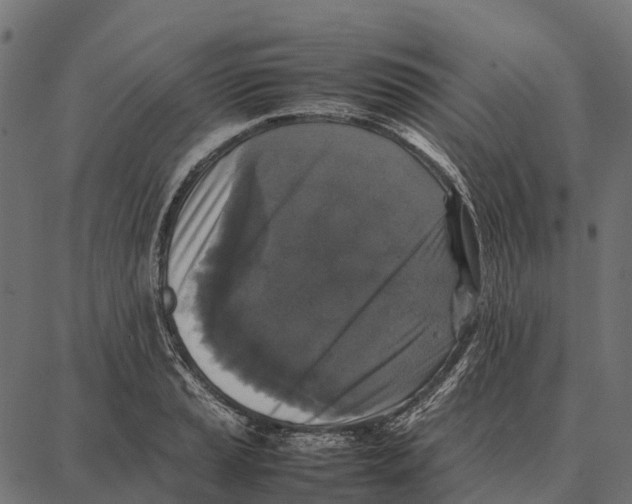 X0000087321037200705181006