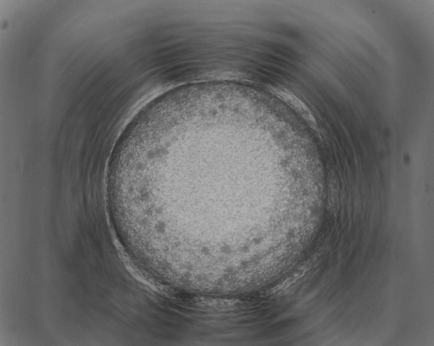 X0000087321039200705181006