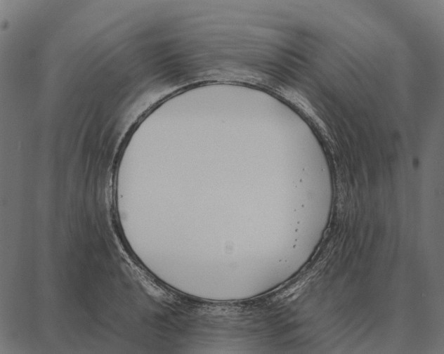 X0000087321040200705181006