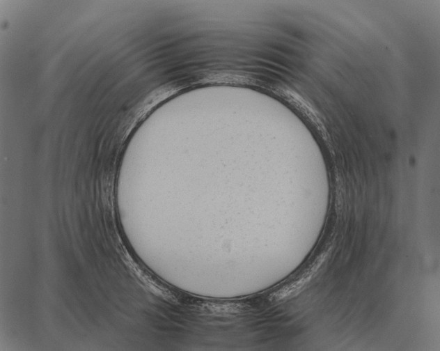 X0000087321041200705181006