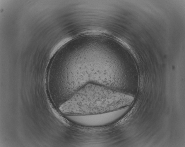 X0000087321042200705181006