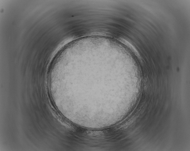 X0000087321043200705181006