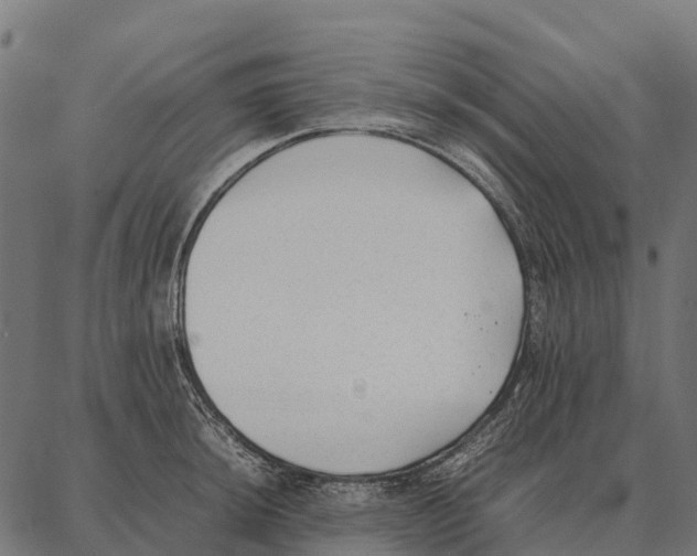 X0000087321044200705181006