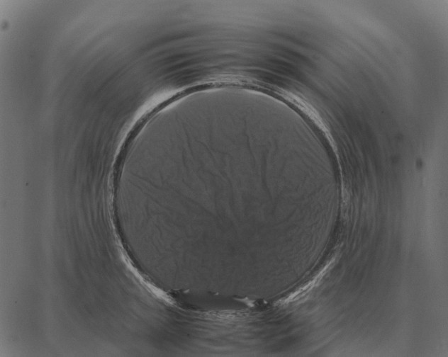 X0000087321045200705181006