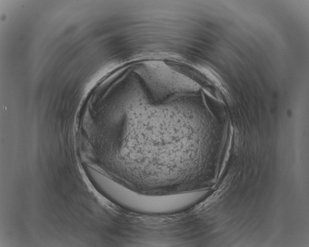 X0000087321046200705181006