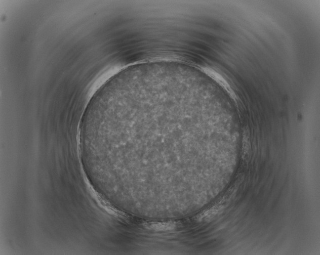 X0000087321047200705181006