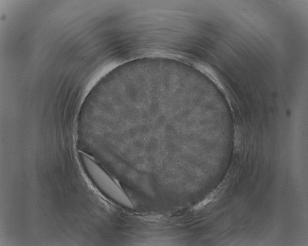 X0000087321048200705181006