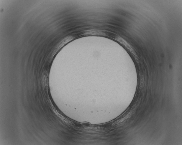 X0000087321049200705181006