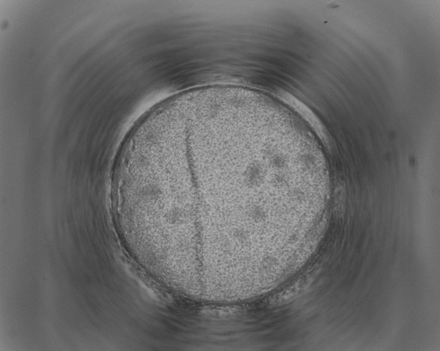 X0000087321051200705181006