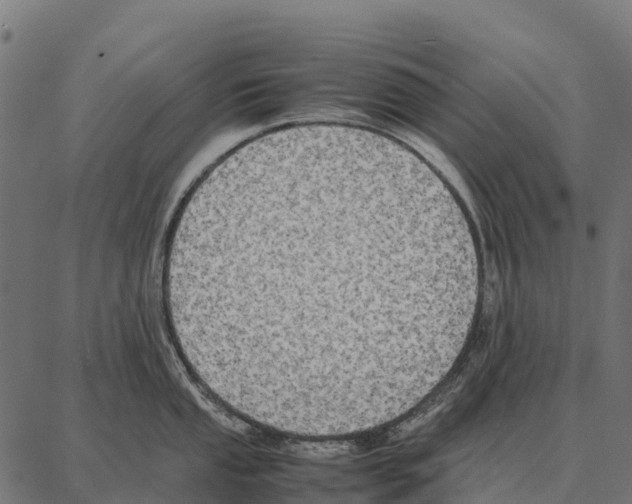 X0000087321053200705181006