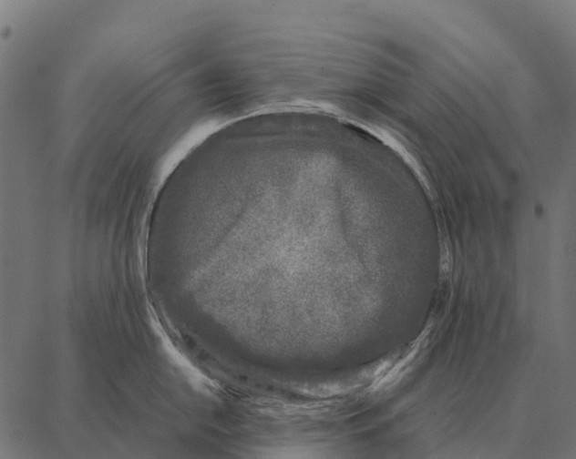 X0000087321054200705181006