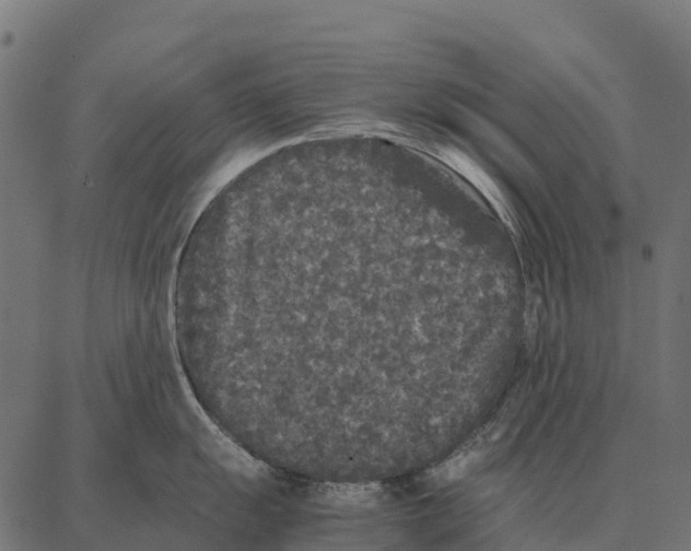 X0000087321055200705181006