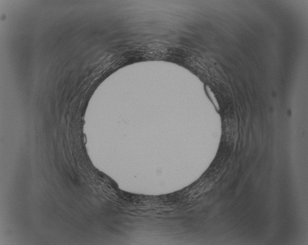 X0000087321057200705181005