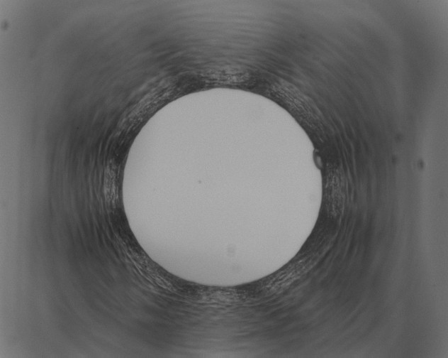 X0000087321058200705181005