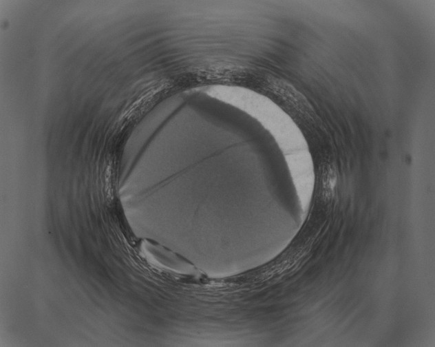 X0000087321060200705181005