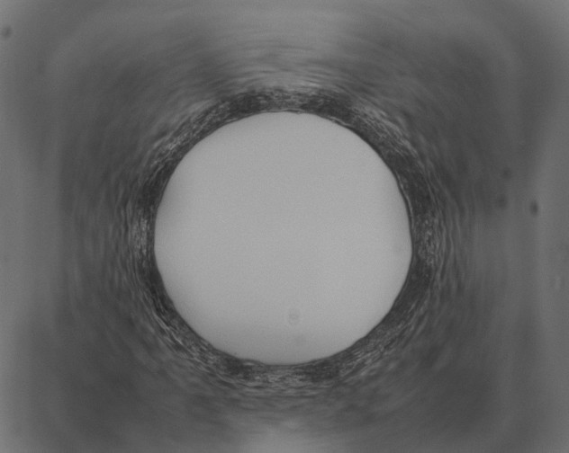 X0000087321061200705181005