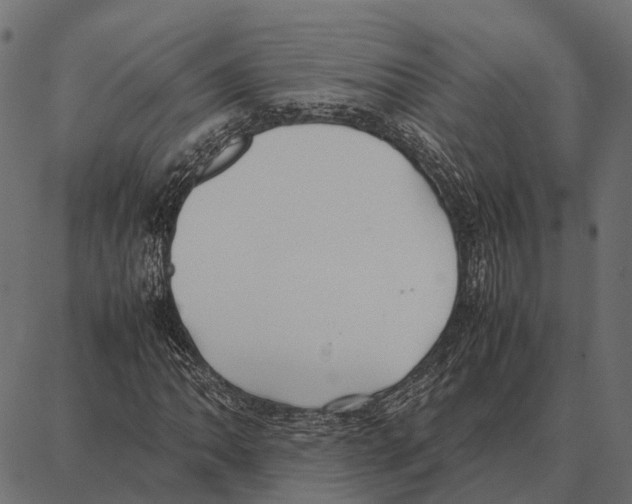 X0000087321062200705181005