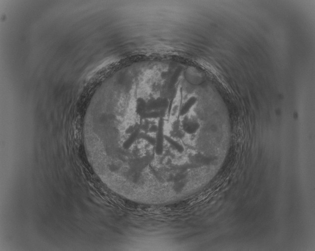 X0000087321063200705181005