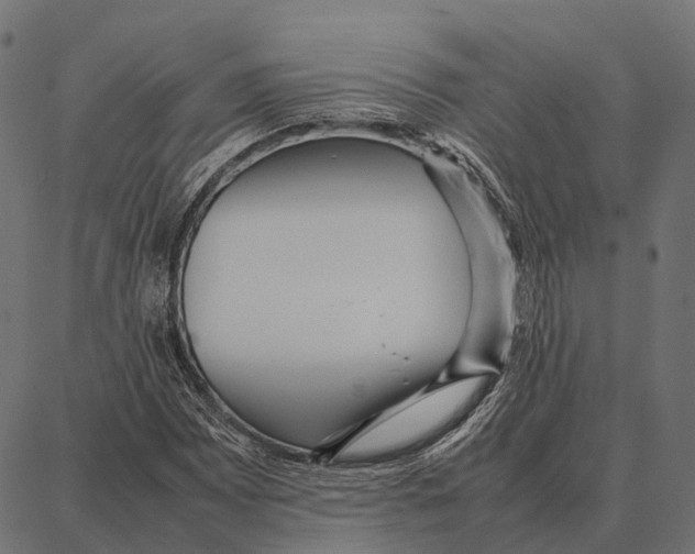 X0000087321065200705181005