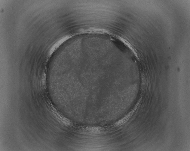 X0000087321066200705181005