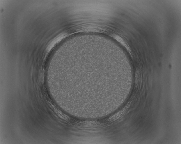 X0000087321067200705181005