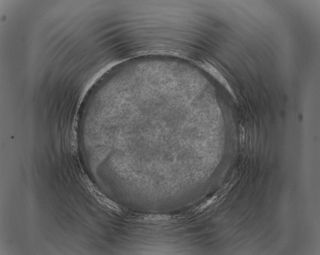 X0000087321068200705181005