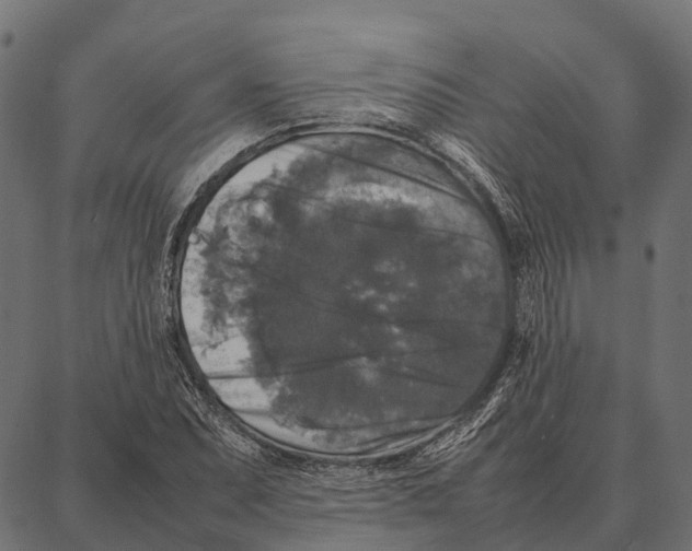 X0000087321071200705181005