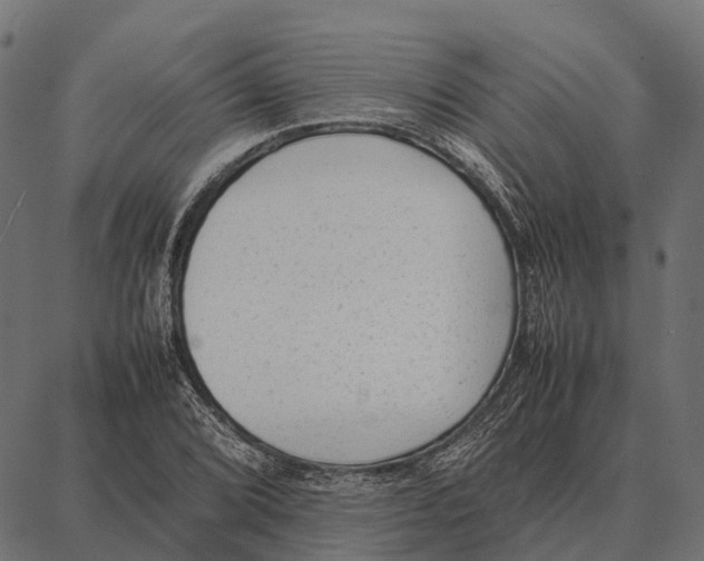 X0000087321072200705181005