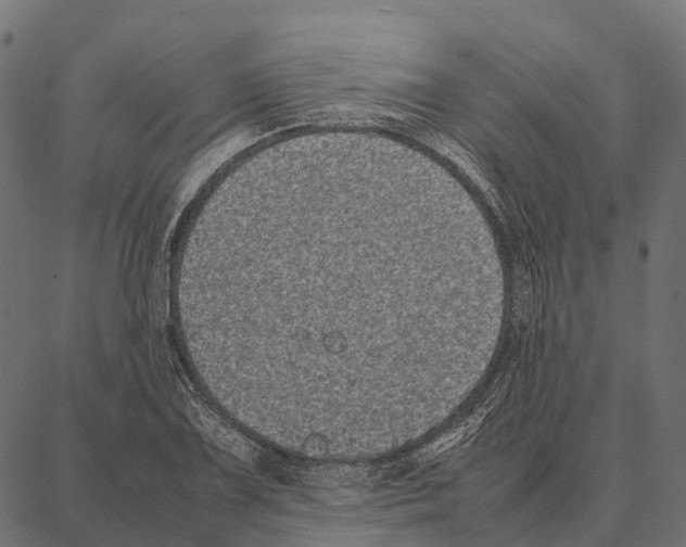 X0000087321075200705181005