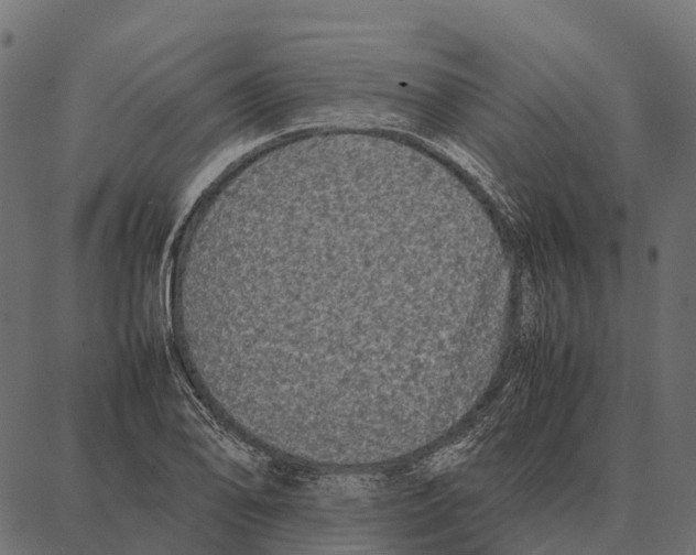 X0000087321078200705181005