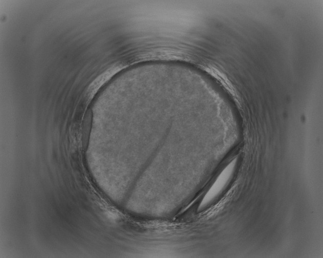 X0000087321081200705181005