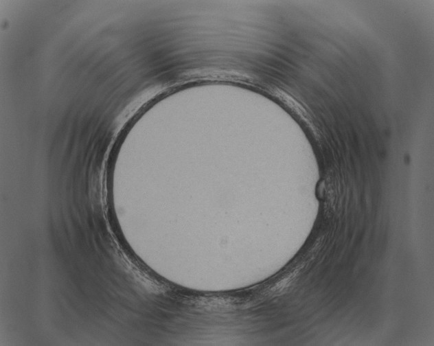 X0000087321082200705181005