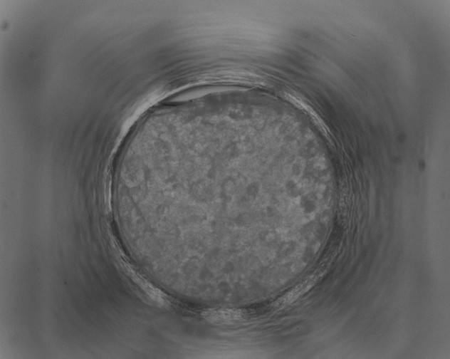 X0000087321083200705181005