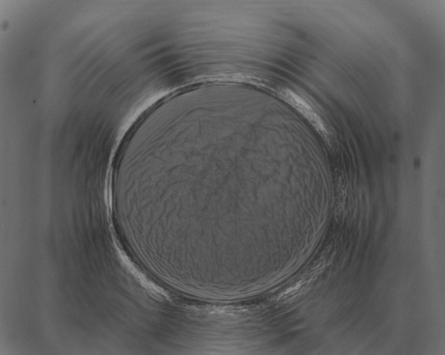 X0000087321084200705181005