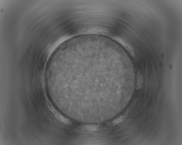 X0000087321086200705181005