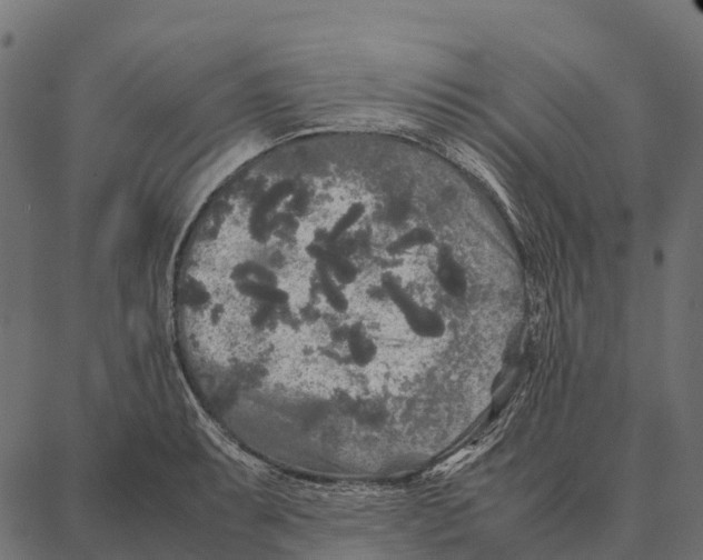 X0000087321087200705181005