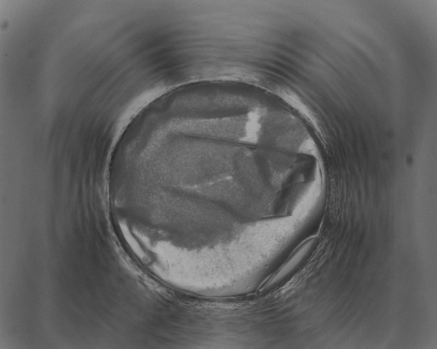 X0000087321088200705181005