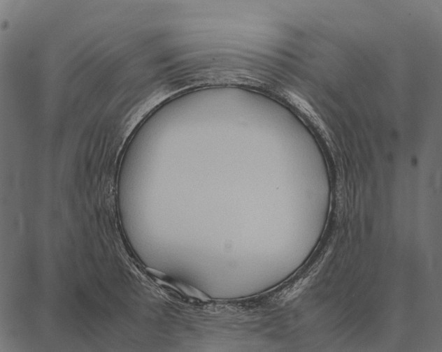 X0000087321089200705181005